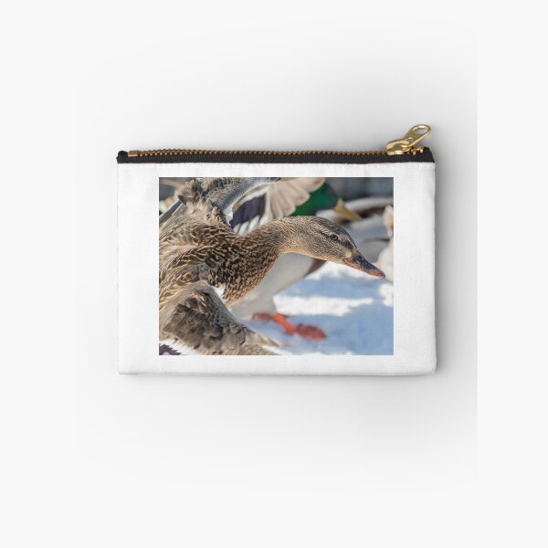 Item preview, Hen Mallard 2019-1 designed and sold by Thomasyoung.