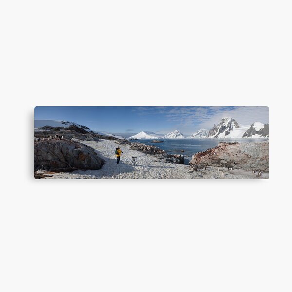 At the edge of the colony Canvas Print