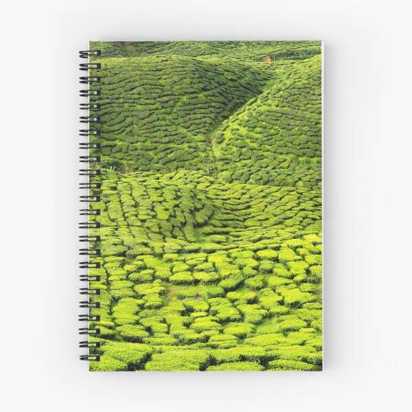 Item preview, Cameron Highlands Tea Plantation designed and sold by Kevin Miller Photography.