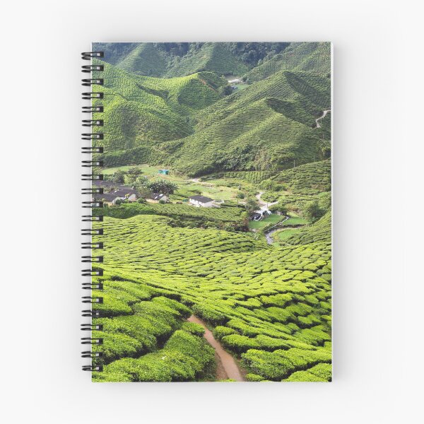 Item preview, Cameron Highlands Tea Plantation designed and sold by Kevin Miller Photography.