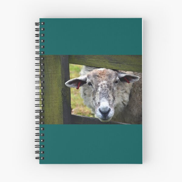 Item preview, A Very Endearing Ewe.......... designed and sold by lynn carter.