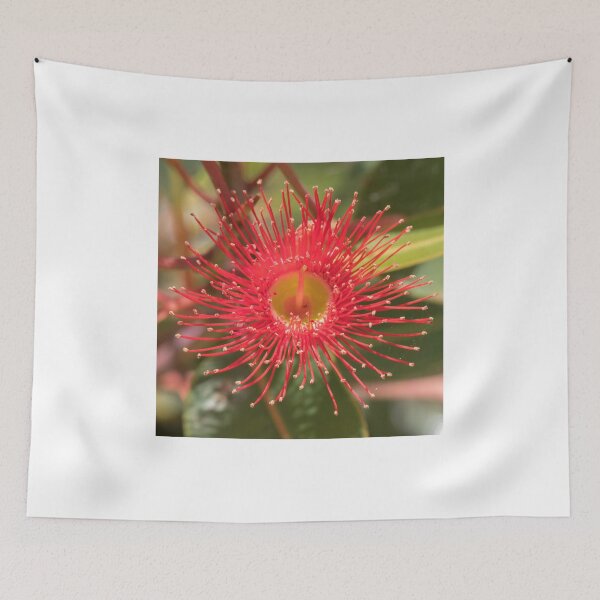 Item preview, Single Muchea Red  Eucalyptus flower designed and sold by DPalmer.