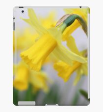 Daffodils iPad Case/Skin
