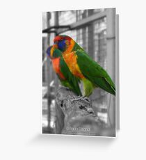 Rainbow Wings Greeting Card