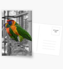 Rainbow Wings Postcards