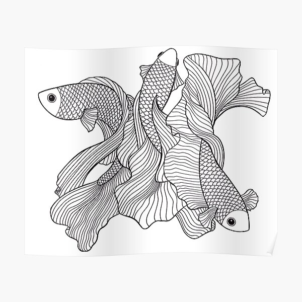 Realistic Pencil Realistic Betta Fish Drawing - Gamer 4 Everbr