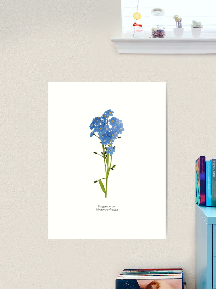 Forget Me Nots Art Print - Bluebellgray