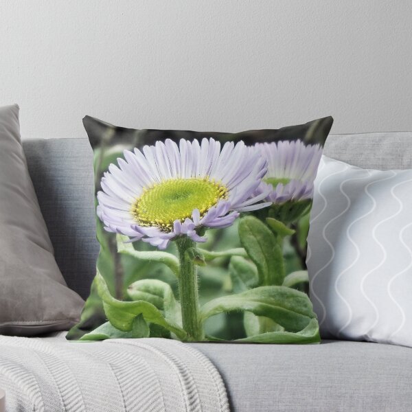 Item preview, Seaside Fleabane designed and sold by Margaret Stevens.