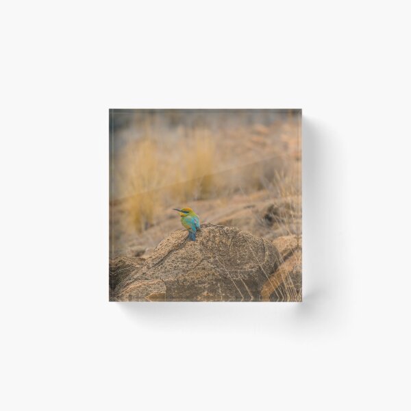 Item preview, Rainbow Bee Eater designed and sold by Toddy4x4.