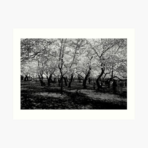 Beneath the Trees Art Print