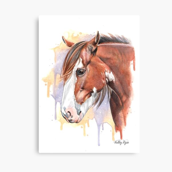 Clydesdale Canvas Print