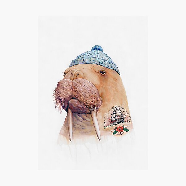 Tattooed Walrus Photographic Print