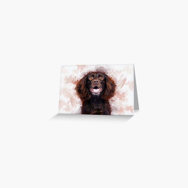 Spaniel Greeting Card