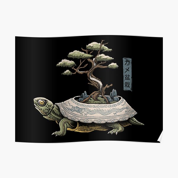 The Legendary Kame Poster