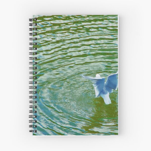 Item preview, Gull Rising With Ripples designed and sold by JohnYoung.