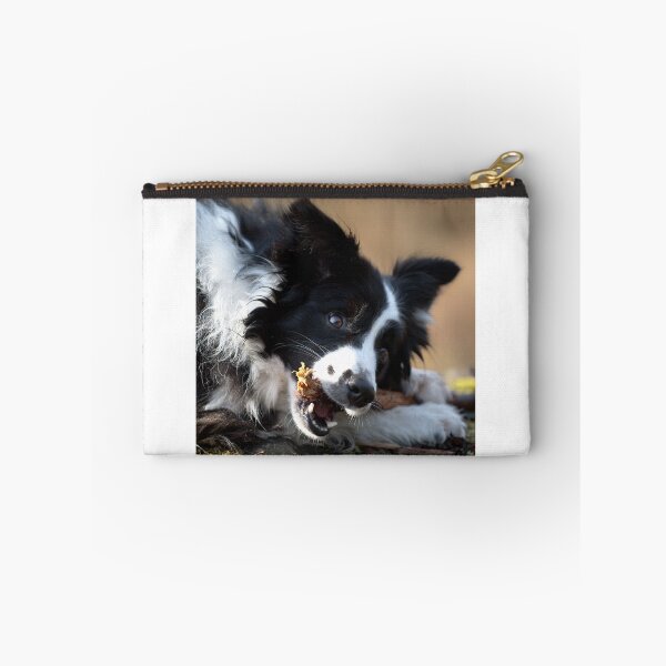 Item preview, Border Collie designed and sold by Tony Skerl.