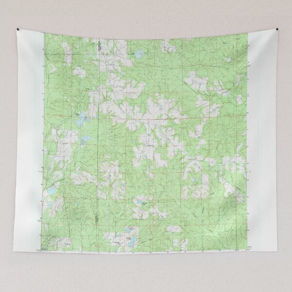 Item preview, USGS TOPO Map Mississippi MS Browns Lake 335402 1983 24000 designed and sold by WetdryvacRBO2.