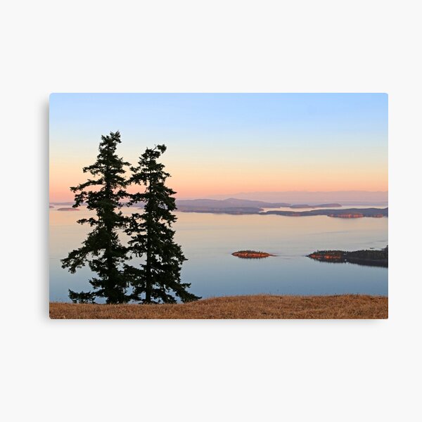 June Evening on Brown Ridge Saturna Island Canvas Print