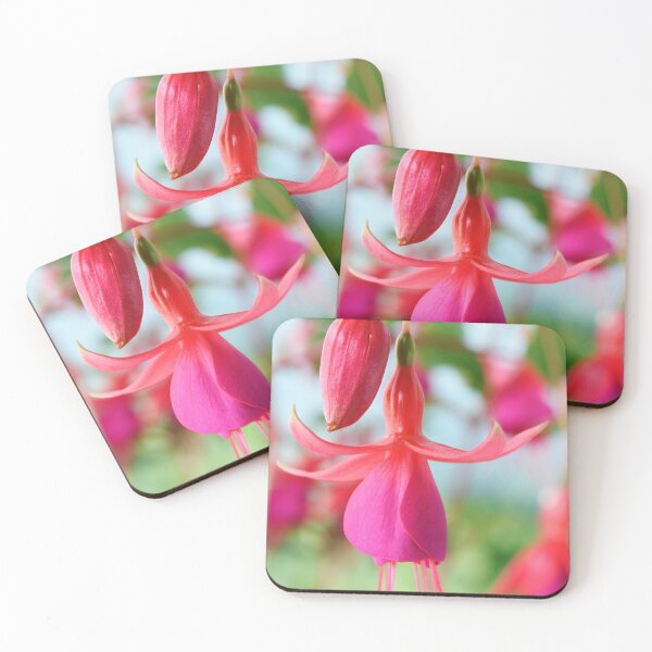 Item preview, Fuchsia 'Pink Fizz' designed and sold by Chris Burrows.