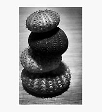 Tower Photographic Print