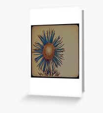 Flower Greeting Card