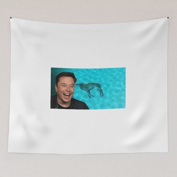 Item preview, Elon Musk dolphin meme designed and sold by AliJoubir.