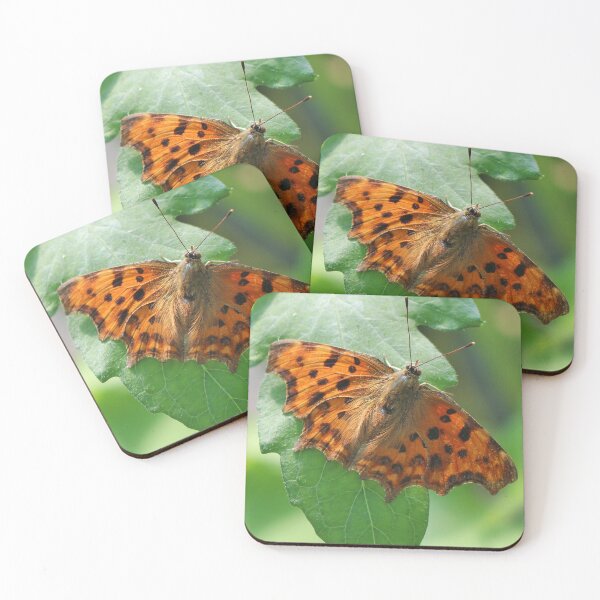 Item preview, Comma butterfly designed and sold by pinkal.