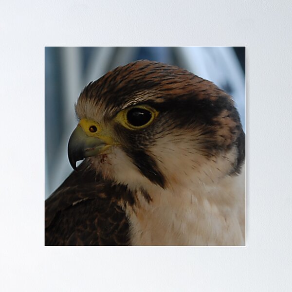 Item preview, Up Close and Personal designed and sold by Kerensa Davies.
