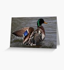 Purple Patch Greeting Card