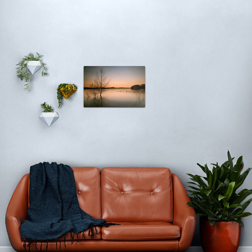 Tranquil Metal Print