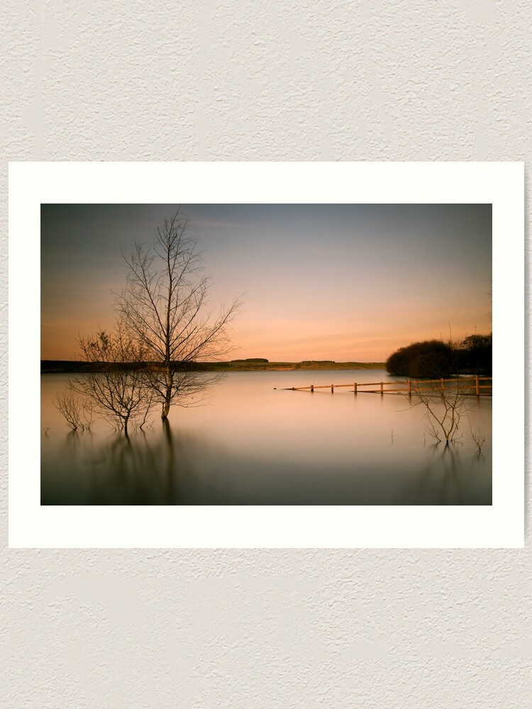Alternate view of Tranquil Art Print