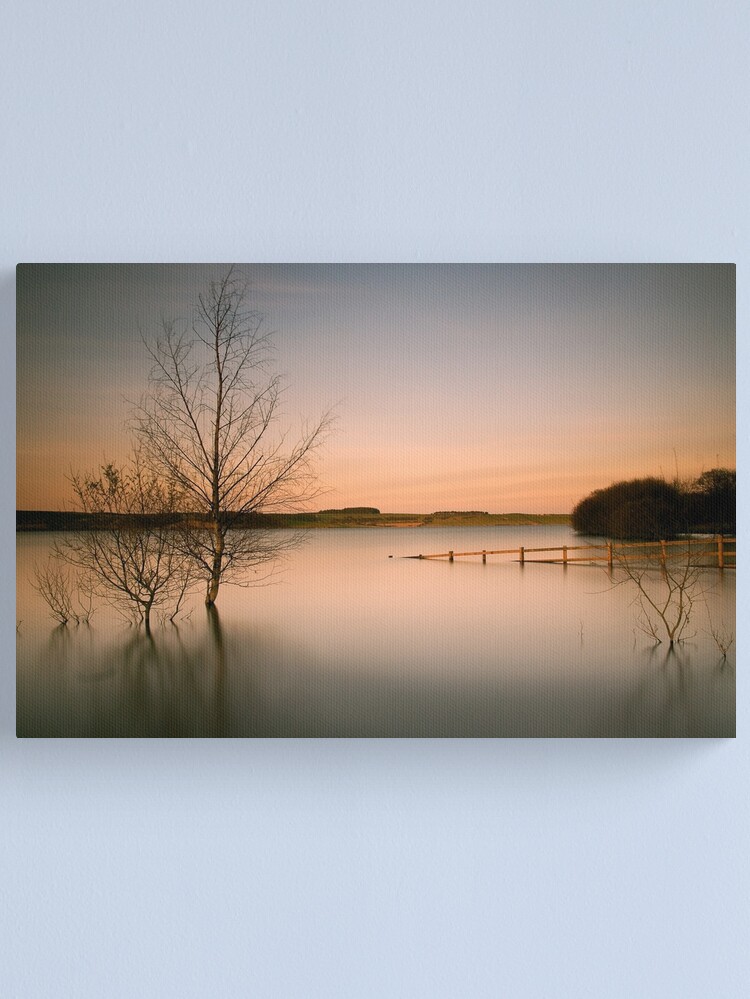 Alternate view of Tranquil Canvas Print