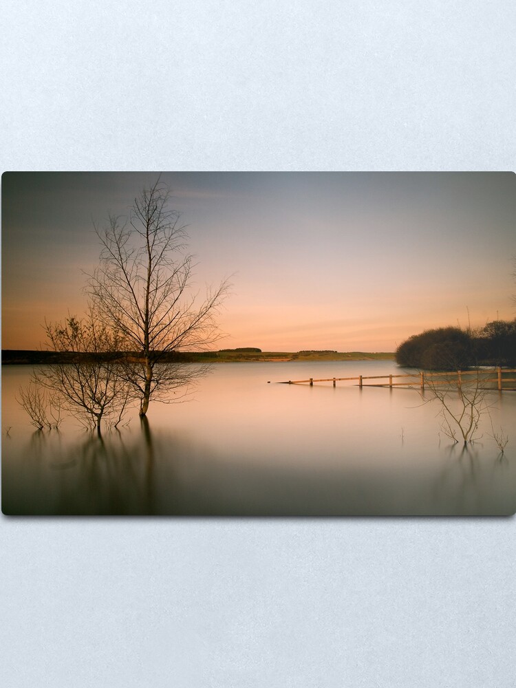 Alternate view of Tranquil Metal Print