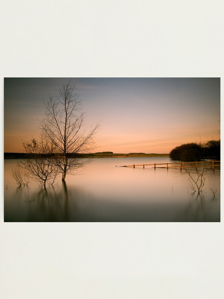 Alternate view of Tranquil Photographic Print