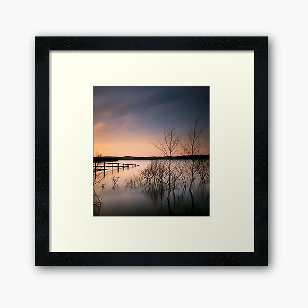 Fence Framed Art Print