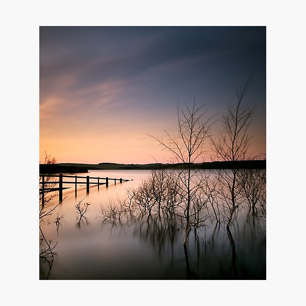 Fence Photographic Print