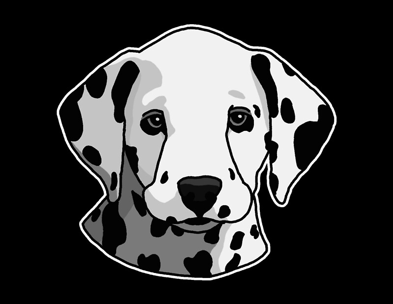 "Dalmatian, dog, drawing" by nijess | Redbubble