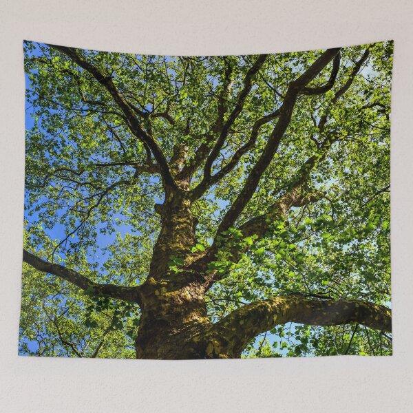 Item preview, Royal Tree designed and sold by John Velocci.