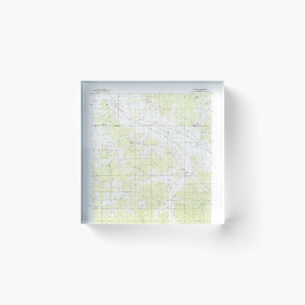 Item preview, USGS TOPO Map Mississippi MS Cadaretta 335421 1983 24000 designed and sold by WetdryvacRBO2.