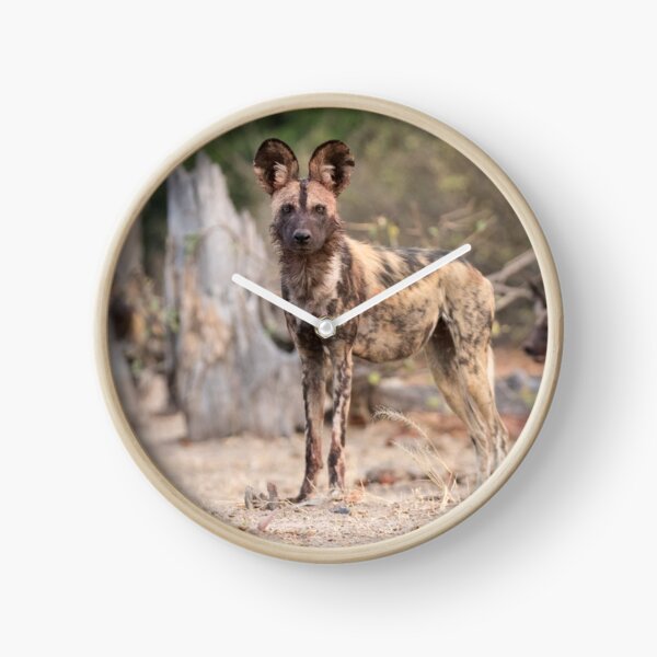 Protecting the pack Clock