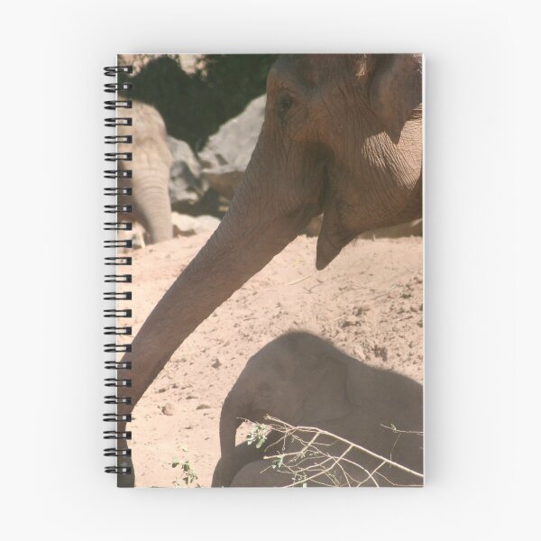 Item preview, Elephant trunk Chester zoo designed and sold by Digitaldegs.