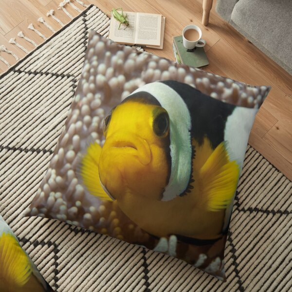 Anemonenfisch | Close Up! | Bodenkissen
