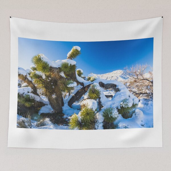 Item preview, Joshua Tree National Park Snow Day designed and sold by photosbyflood.
