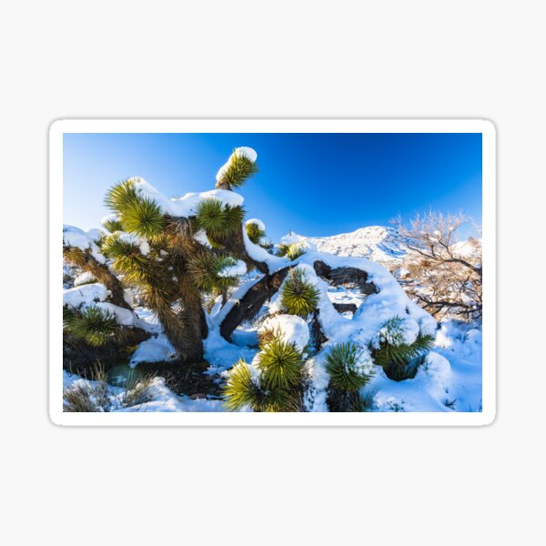 Item preview, Joshua Tree National Park Snow Day designed and sold by photosbyflood.