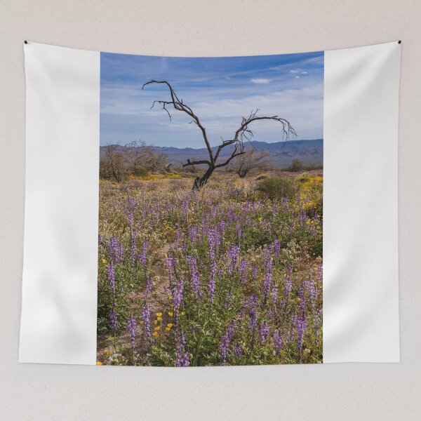 Item preview, Joshua Tree National Park Life and Death designed and sold by photosbyflood.