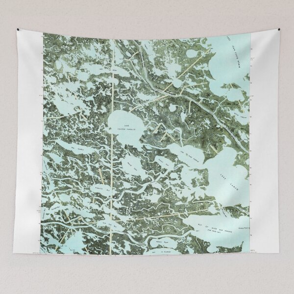 Item preview, USGS TOPO Map Louisiana LA Lake Cuatro Caballo 332470 1973 24000 designed and sold by WetdryvacRB01.