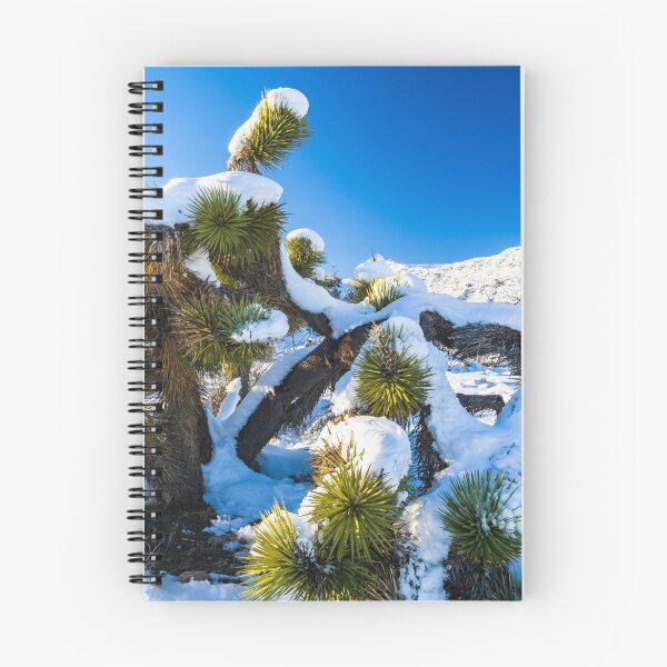 Item preview, Joshua Tree National Park Snow Day designed and sold by photosbyflood.