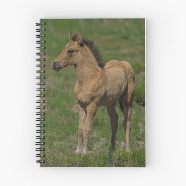 Item preview, Beautiful Foal  designed and sold by Nicole  Markmann Nelson.