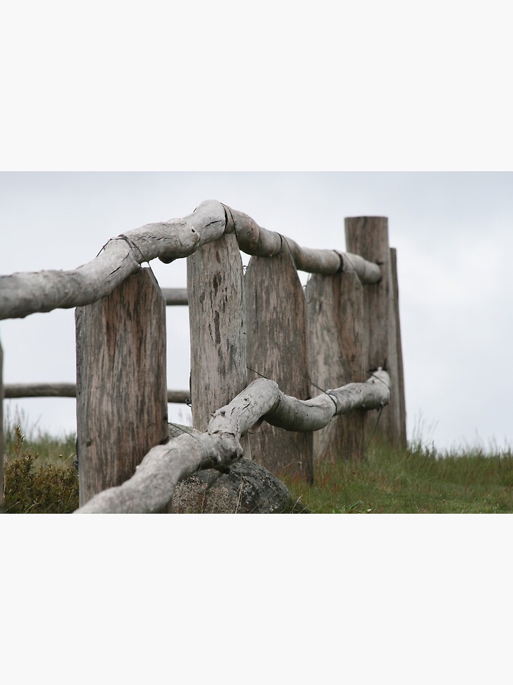 Old fence by saltbushbill