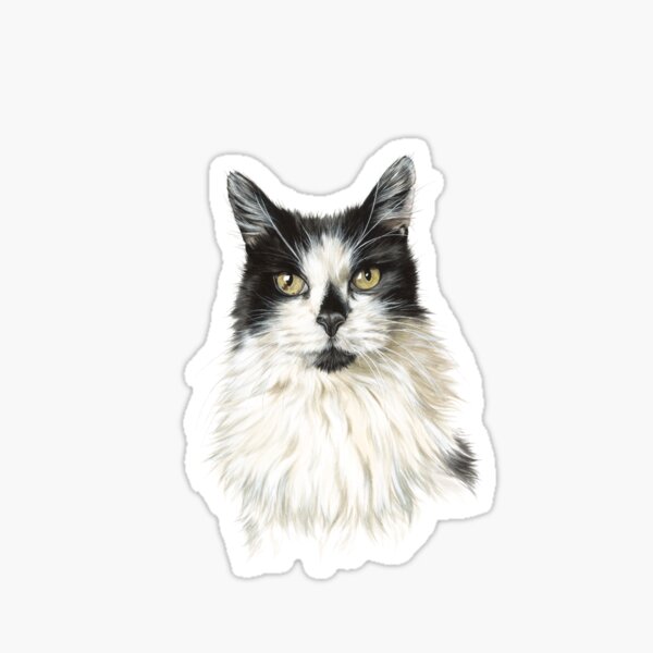 Smudge The Cat Stickers | Redbubble